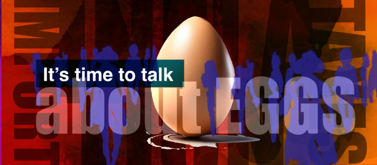 Egg Prices Again - Looking for Inflation